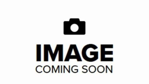 2021 Tesla Model S - Images - 10