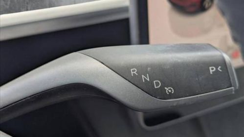 2023 Tesla Model Y - Images - 7