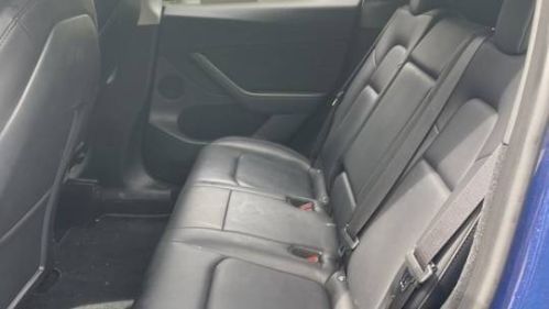 2023 Tesla Model Y - Images - 4