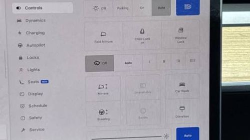 2022 Tesla Model Y - Images - 29