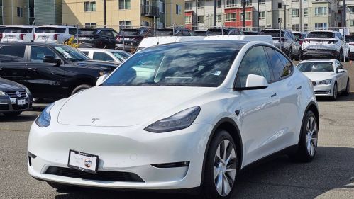 2021 Tesla Model Y - Images - 3