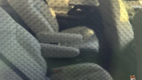 2024 Mazda CX-90 - Images - 8