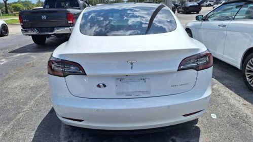 2021 Tesla Model 3 - Images - 5