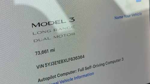 2020 Tesla Model 3 - Images - 14