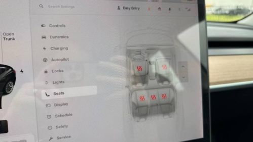 2021 Tesla Model 3 - Images - 22