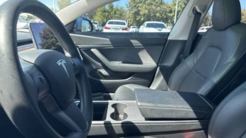 2021 Tesla Model 3 - Images - 4