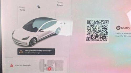 2020 Tesla Model 3 - Images - 10