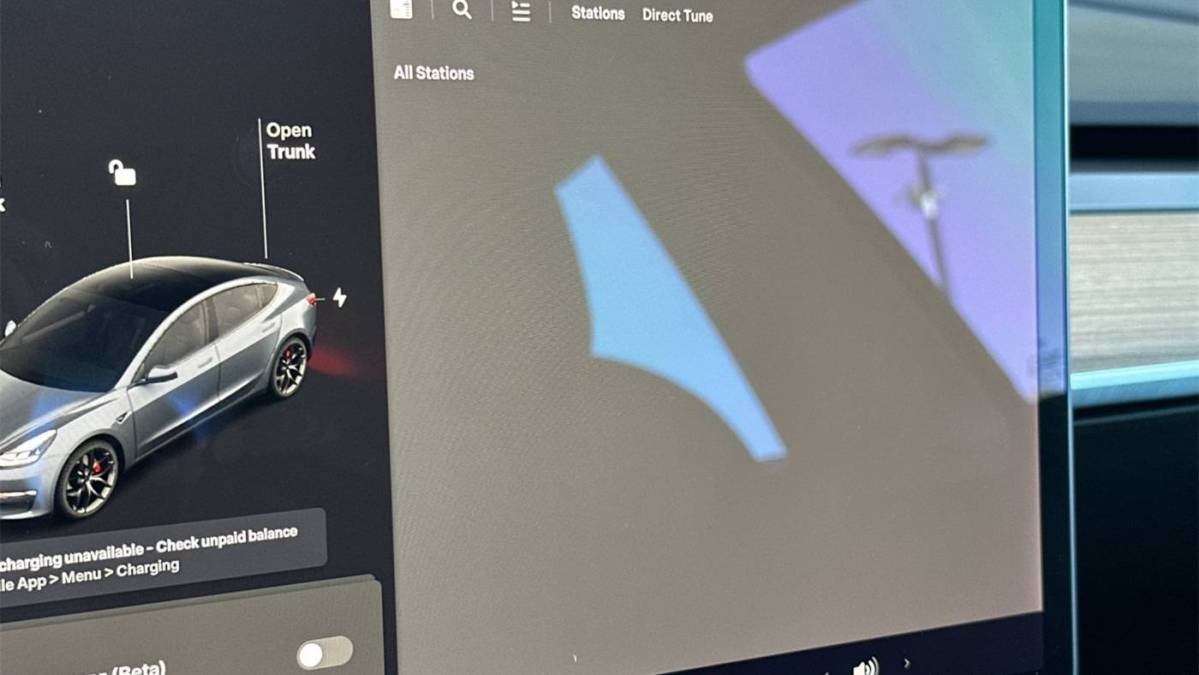 2021 Tesla Model 3 - Images - 18