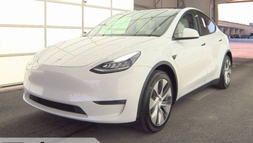 2020 Tesla Model Y - Images - 1