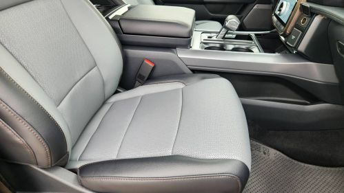 2025 Ford F-150 Lightning - Images - 9