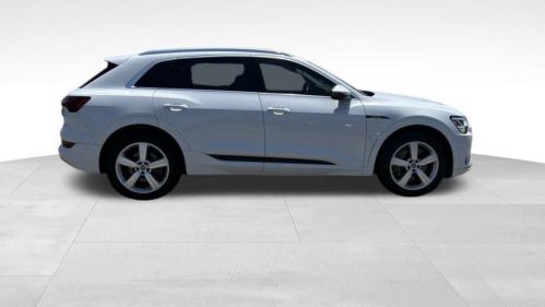 2019 Audi e-tron - Images - 3
