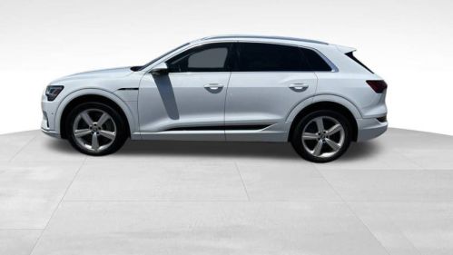 2019 Audi e-tron - Images - 7