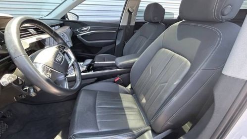 2019 Audi e-tron - Images - 11