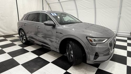 2022 Audi e-tron - Images - 7