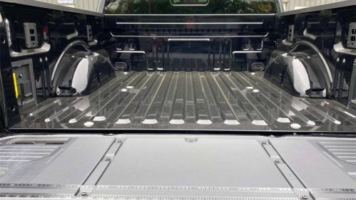 2025 Ford F-150 Lightning - Images - 4