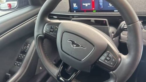 2021 Ford Mustang Mach E - Images - 13