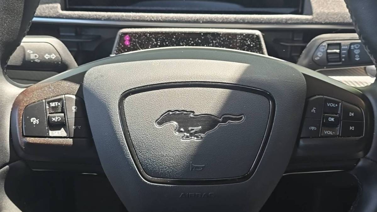 2021 Ford Mustang Mach E - Images - 17