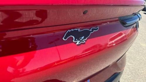 2024 Ford Mustang Mach E - Images - 17