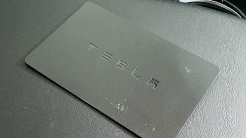 2020 Tesla Model 3 - Images - 20