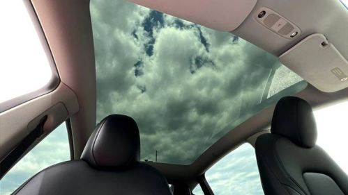 2023 Tesla Model Y - Images - 22